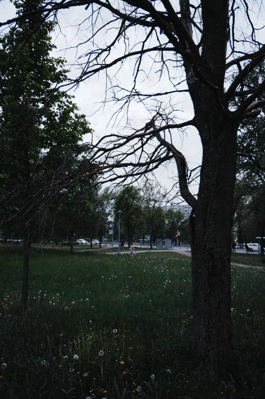 как вы относитесь к тому, что тут буду периодически фотки постить?
вы же против?
ну и ладненько.
сегодня настроил творческий вид и решил потестить картинку.
из коробки так сказать | Сетка — социальная сеть от hh.ru