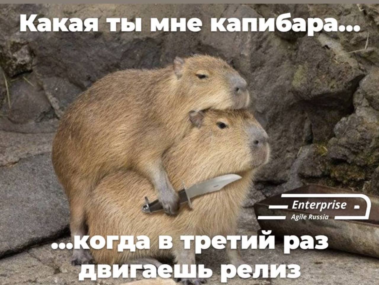 #пятничное
Всем продуктивного дня.
Методы убеждения могут быть разные. | Сетка — социальная сеть от hh.ru