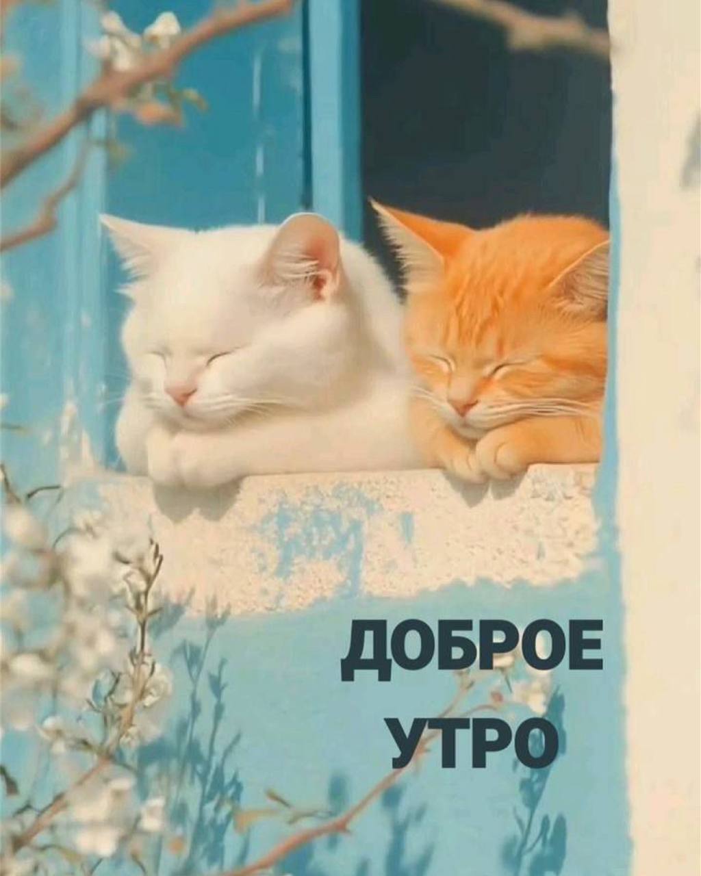 Доброе утро, ставропольцы! | Сетка — социальная сеть от hh.ru
