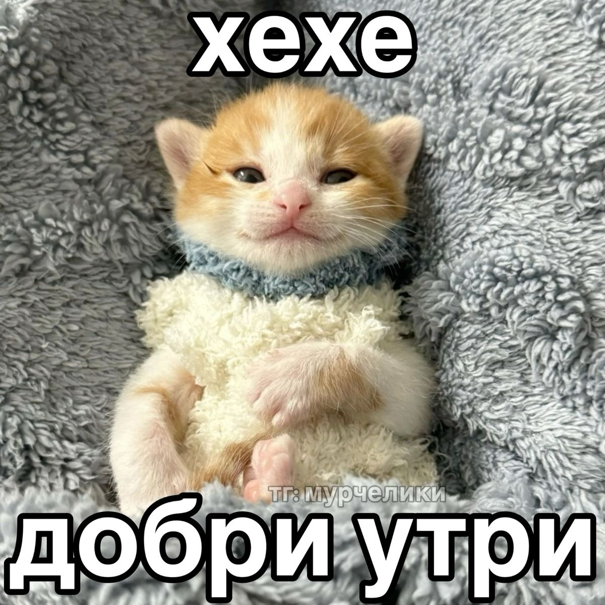 Утро первого дня | Сетка — социальная сеть от hh.ru