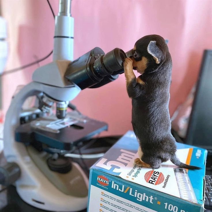 Такой маленький, а уже учёный 😱 | Сетка — социальная сеть от hh.ru