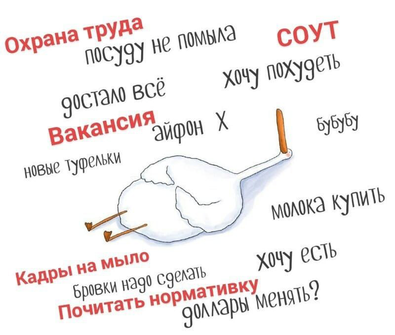 HR в конце недели) | Сетка — социальная сеть от hh.ru