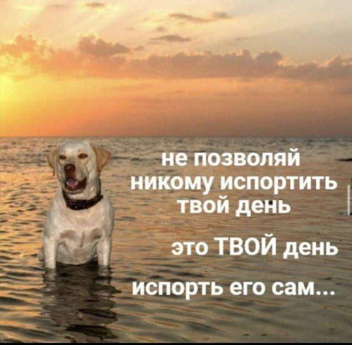 Лидерское поведение 💪 #юмор | Сетка — социальная сеть от hh.ru