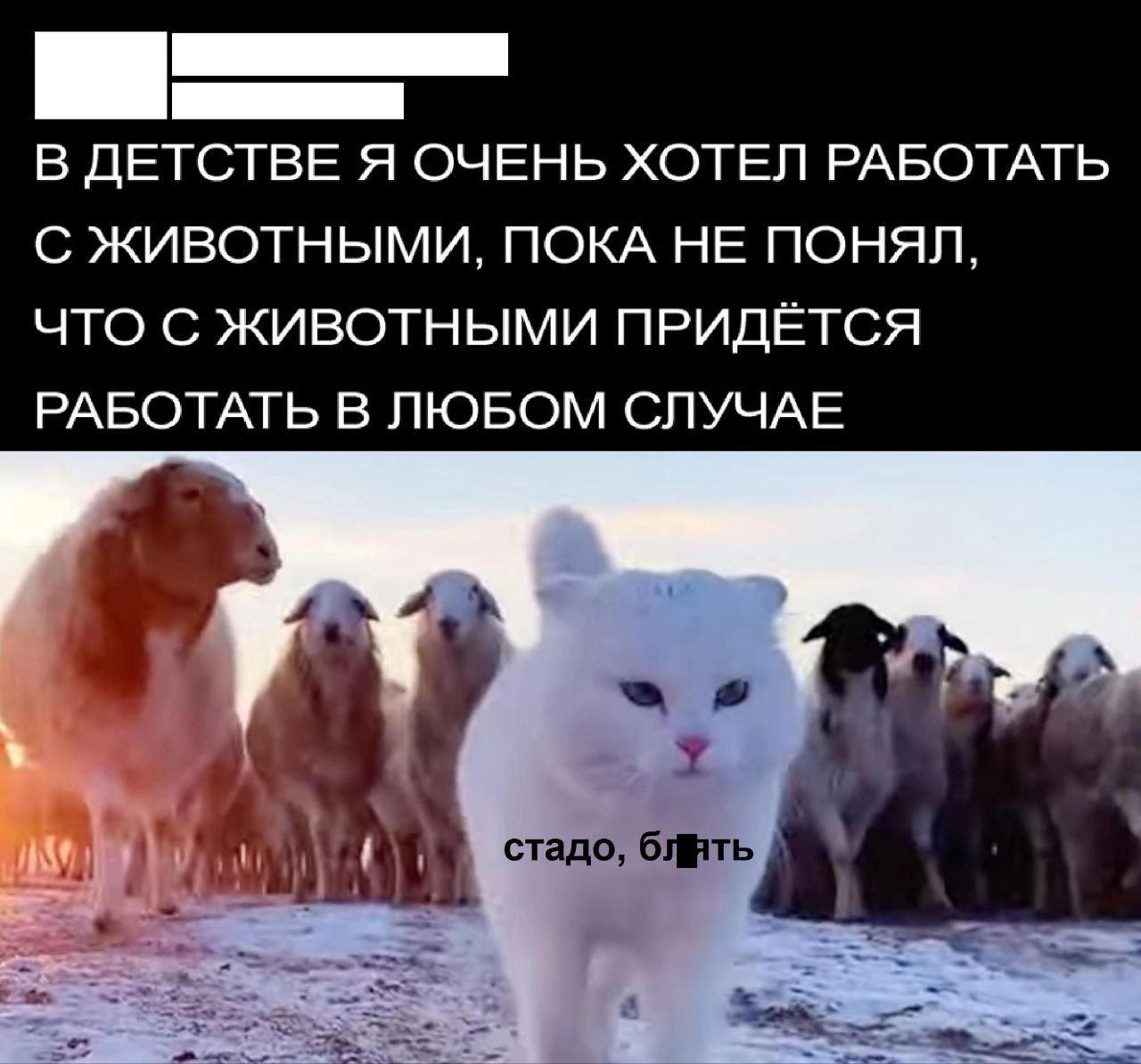 Пятничное рабочее утречко, уважаемые 😱 | Сетка — социальная сеть от hh.ru