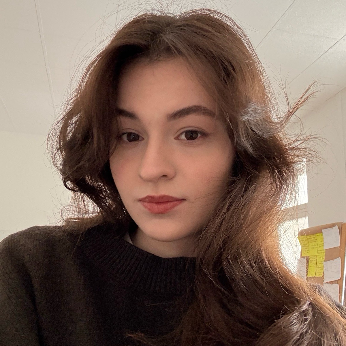 Полина Михайлова | Сетка — социальная сеть от hh.ru