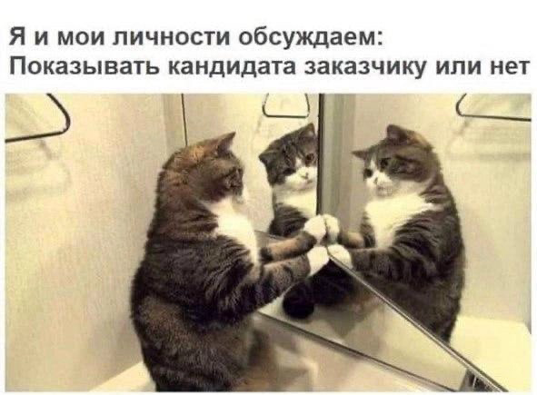 Когда глазик уже дергается, компьютер на мои вопросы заданные вслух не отвечает, а вся команда тихо работает….
…это значит что мои нанимающие немножечко меня довели 🥳🥸 | Сетка — социальная сеть от hh.ru