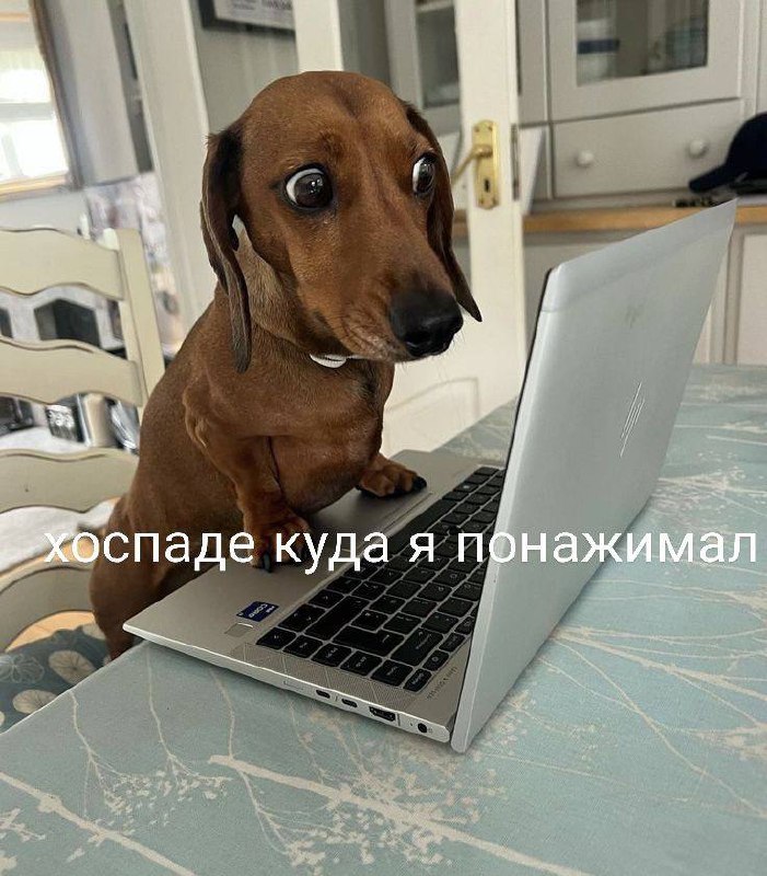 #готовпомочь #продажи #реклама #системность #автоматизация
🤔 Заявки есть, а продаж всё равно мало?Ты, скорее всего, думаешь:
•"Менеджеры плохо работают"
•"Лиды какие-то не такие"
•"Рекламу нужно докру... | Сетка — социальная сеть от hh.ru
