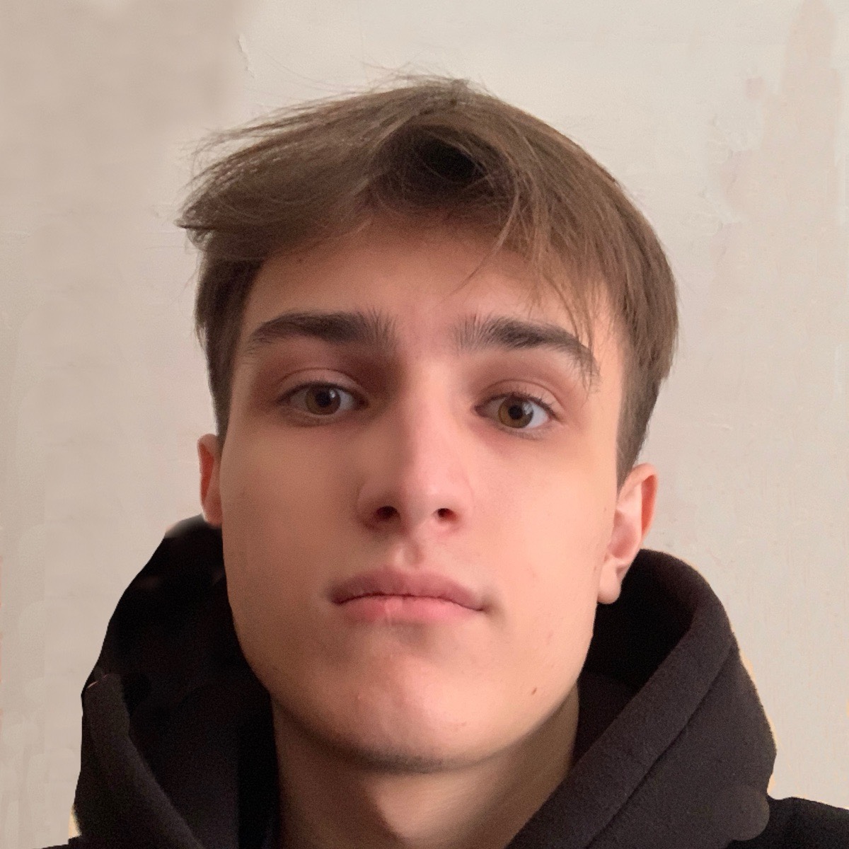 Денис Дегтярев