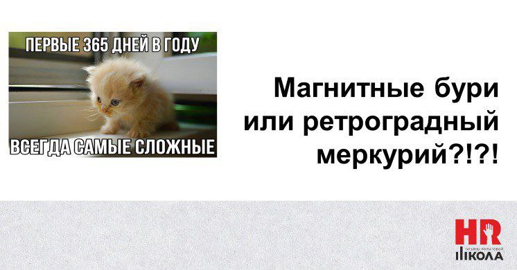 Что-то последние пару недель выдались какими-то напряжёнными. То накладки, то поломки, то просто всё не по плану. Самое время объявить рубрику субботних мемов. #мемыhr | Сетка — социальная сеть от hh.ru