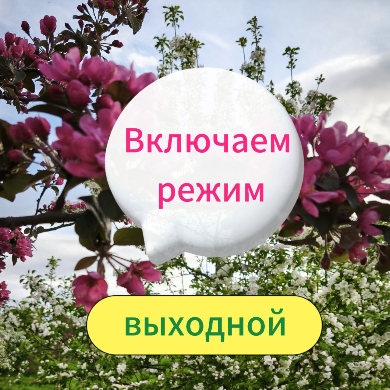 🟣 ... Выдается всем!
Даже тем, кто не показал в сторис авокадо и не качал ягодицы 😂 | Сетка — социальная сеть от hh.ru