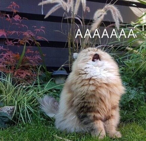 Открою вам большую тайну: рекрутёры — тоже люди. | Сетка — социальная сеть от hh.ru