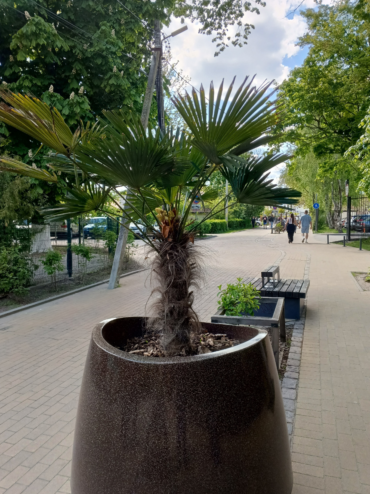 Балтийское море: загадки, богатства и удивительные явления | Сетка — социальная сеть от hh.ru