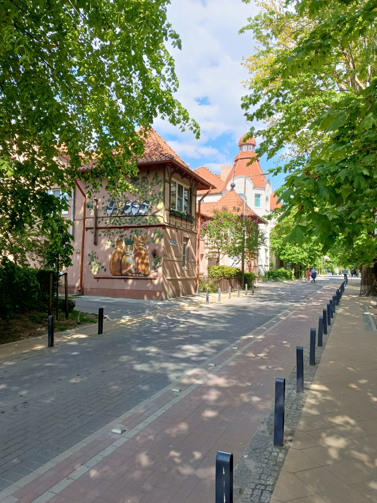 Балтийское море: загадки, богатства и удивительные явления | Сетка — социальная сеть от hh.ru