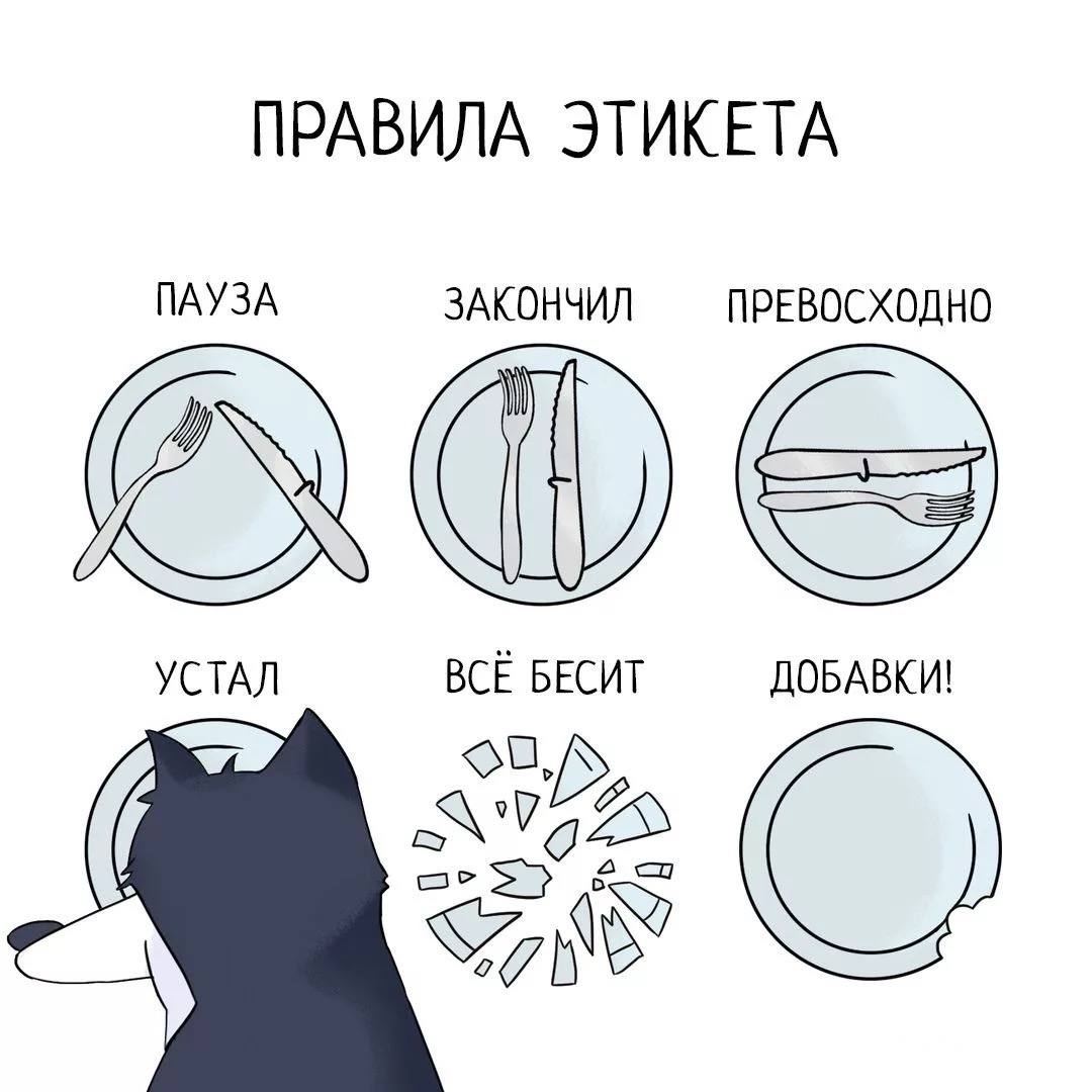 Нюансы столового этикета от собачки 🐶 | Сетка — социальная сеть от hh.ru