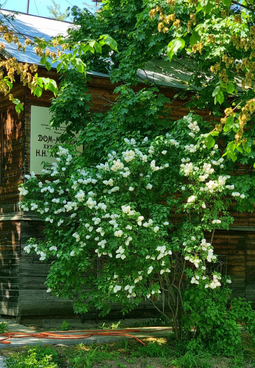 Суббота, 30 мая. +31 на Вятке.
Погода не типичная. Город ещё недавно мёрз от промозглых весенних ветров,  а в подворотнях кое-где под чёрной пылевой коркой лежал застарелый облежалый снег | Сетка — социальная сеть от hh.ru