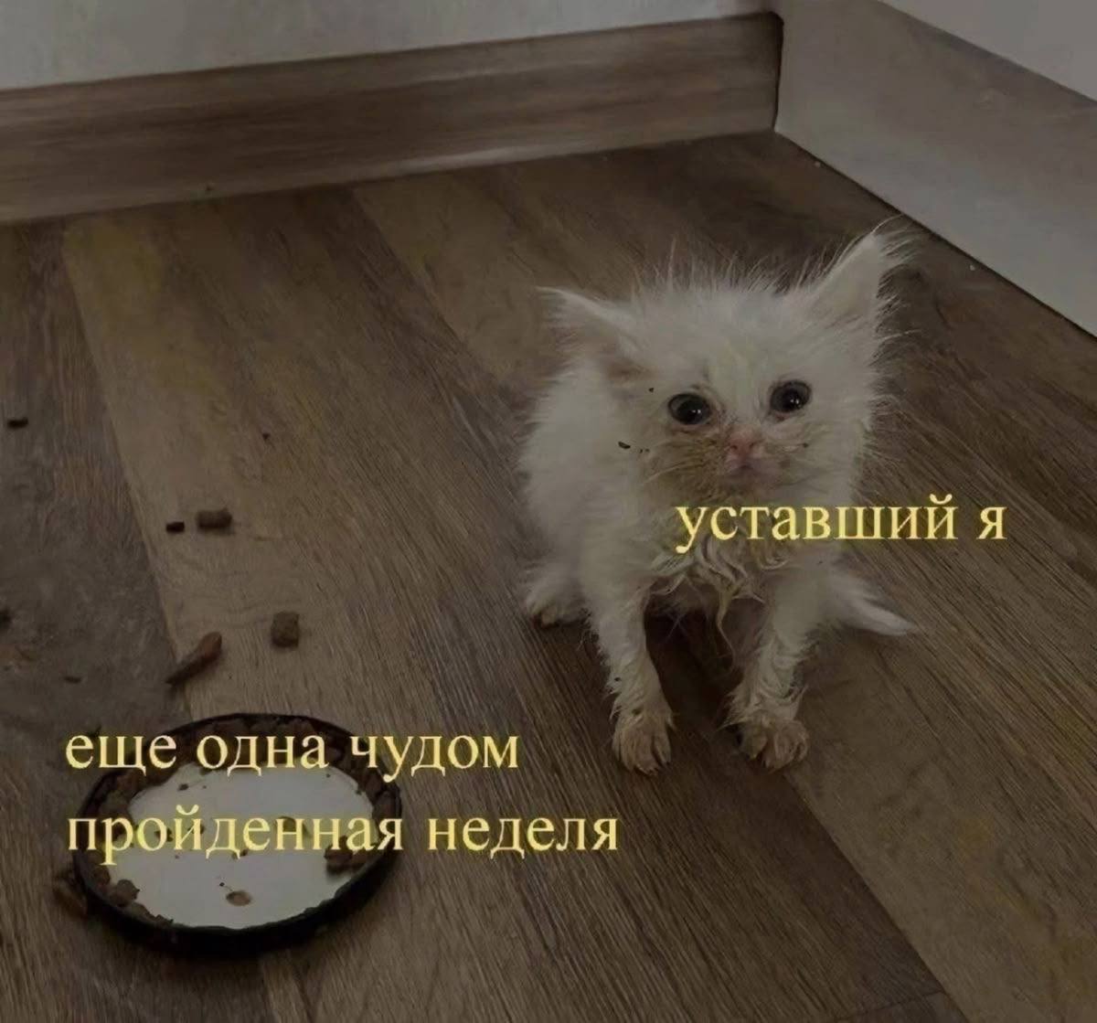 Лето - это маленькая жизньДаже не верится, уже завтра буду в Москве, а в понедельник выхожу на новое место! Уже в предвкушении
Символично, что как будто сама знала 🤣 и оплатила абонемент в зал точно д... | Сетка — социальная сеть от hh.ru