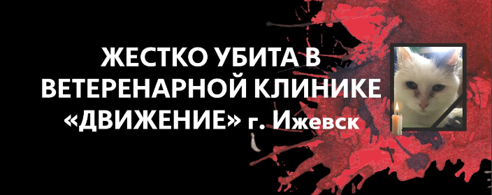 Открыта к предложениям | Сетка — социальная сеть от hh.ru