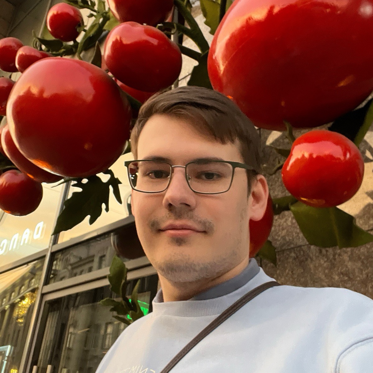 Network member avatar