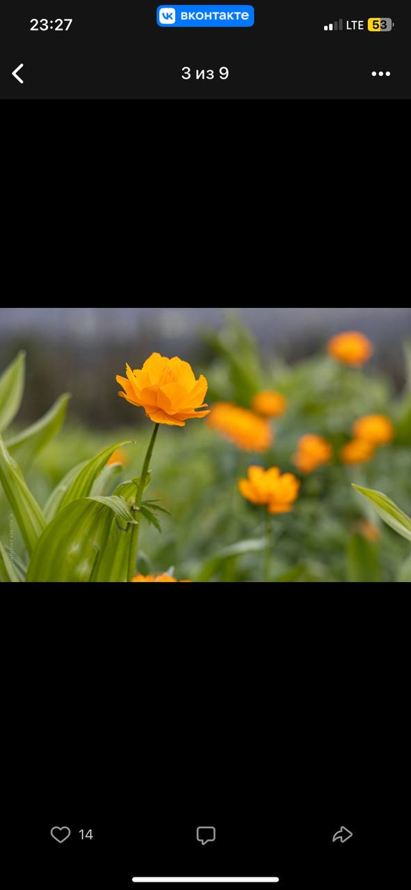 #анонс июнь
02 - поздравляем счастливчиков с началом погружения в графологию:
#курс «Графология для начинающих
#курс «Графология в работе с детьми и подростками» | Сетка — социальная сеть от hh.ru