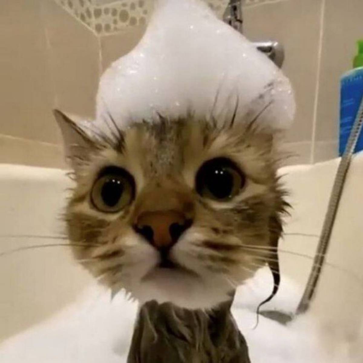 Никита Миловский