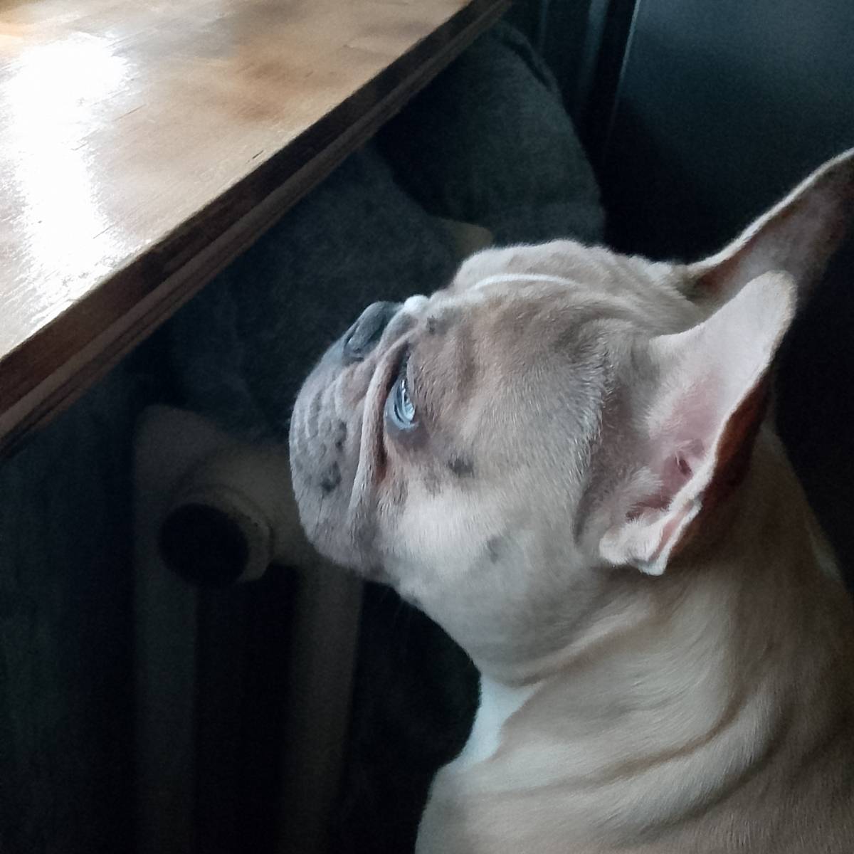 Дима Кисилёв | Сетка — социальная сеть от hh.ru