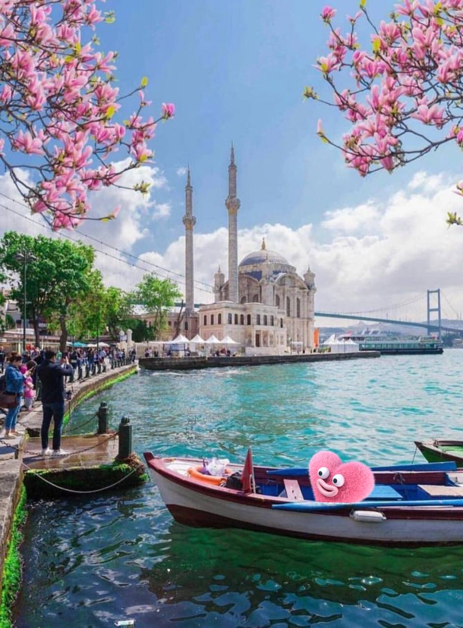 Turkey: Culture Shock про изучение языков 🇹🇷🍦Сидим с ребятами в стамбульском кафе, пьем турецкий чай и наблюдаем удивительную сцену | Сетка — социальная сеть от hh.ru