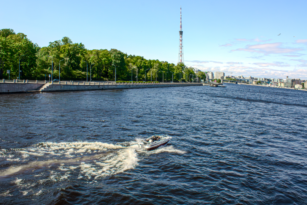 Первая неделя лета в Санкт-Петербурге - это магия, запечатленная в каждом ярком мгновении | Сетка — социальная сеть от hh.ru