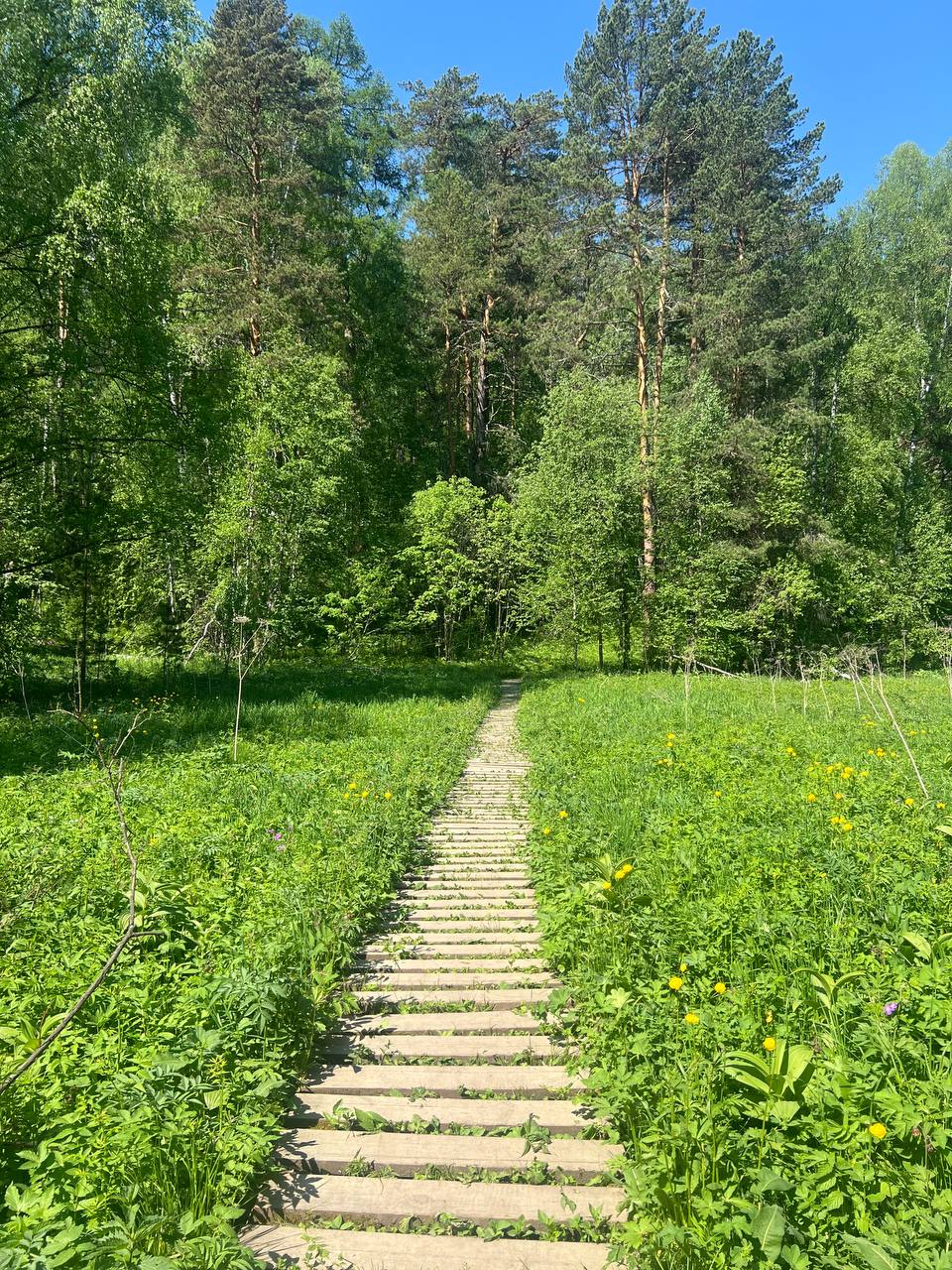 С первым днём лета ☀️
В эти выходные мы с семьей отправились в природный парк Оленьи ручьи в Свердловской области | Сетка — социальная сеть от hh.ru