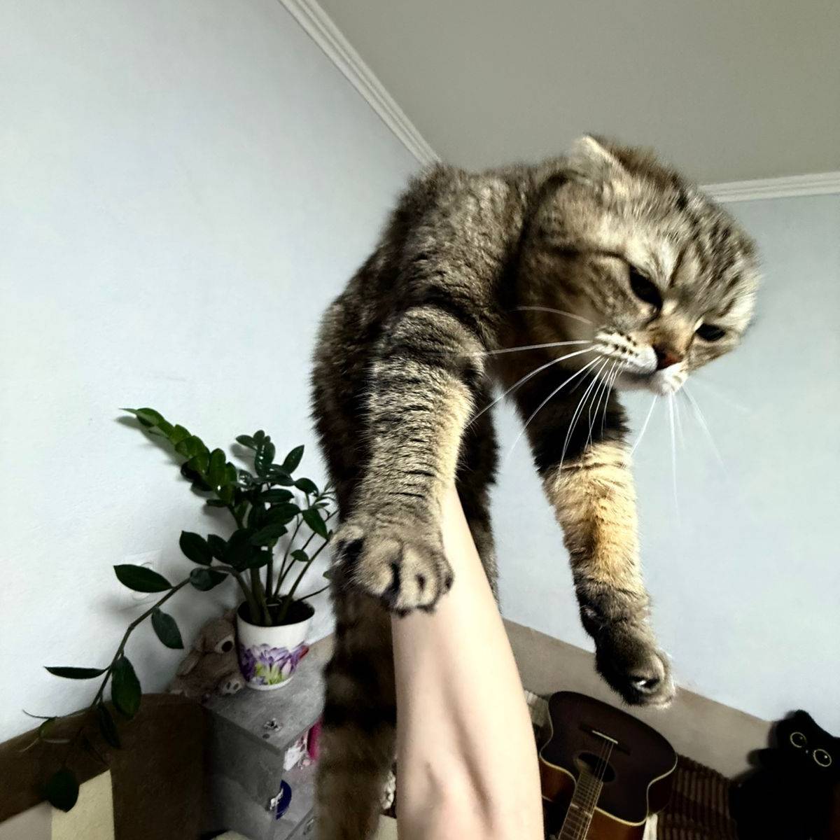 Женя Привет