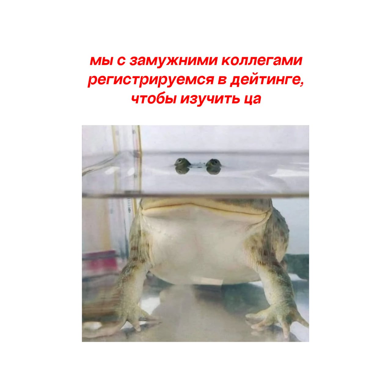 Как глубоко мы заходим в исследование ца? Гораздо глубже чем на фото | Сетка — социальная сеть от hh.ru