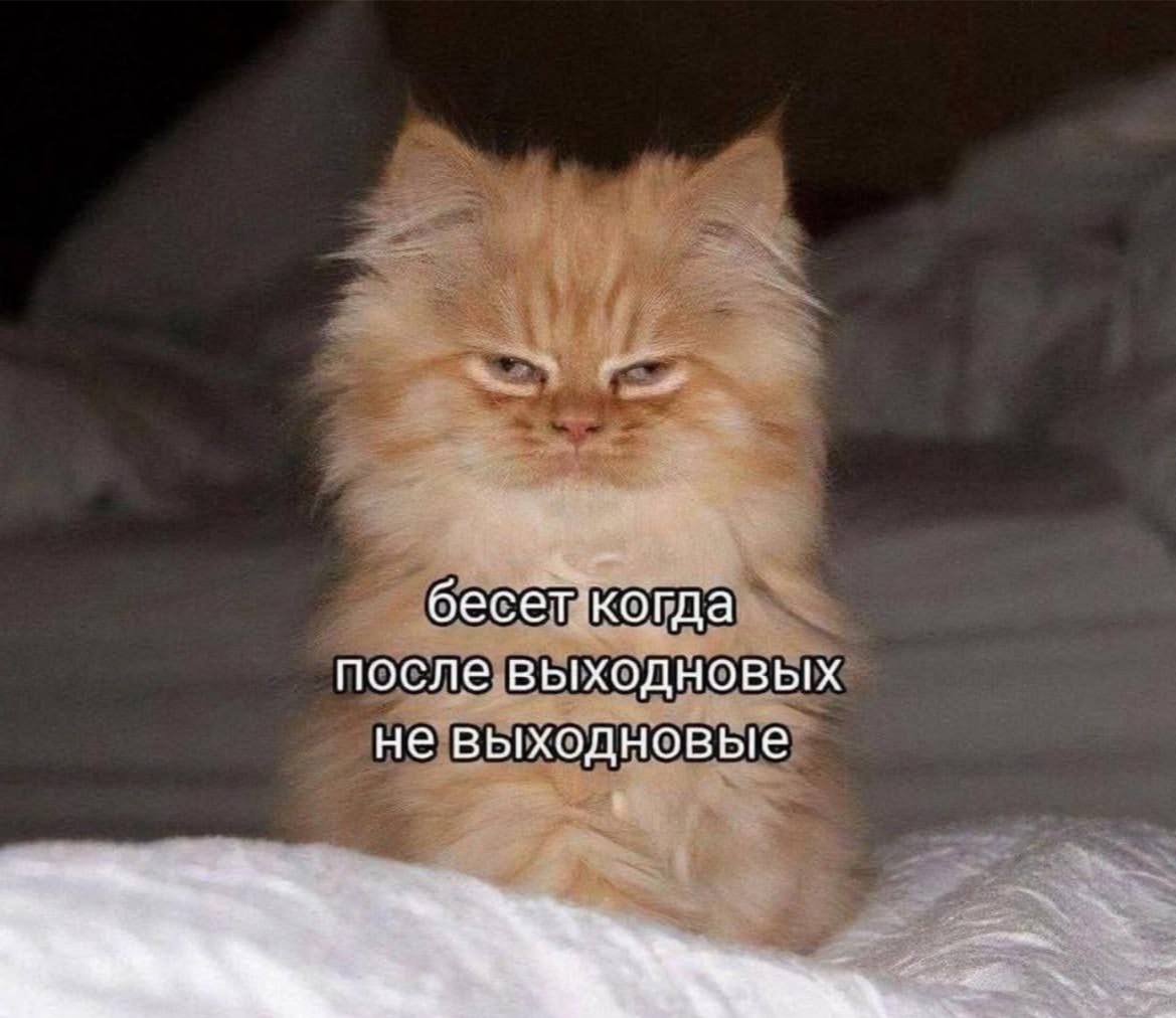 Доброе утро! | Сетка — социальная сеть от hh.ru