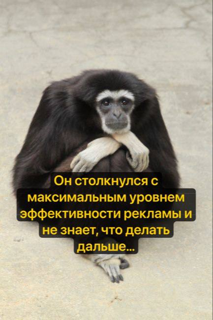 Хочу быть плодовитым! | Сетка — социальная сеть от hh.ru