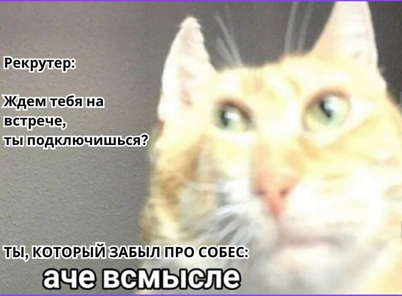 У кого было? 😅 | Сетка — социальная сеть от hh.ru