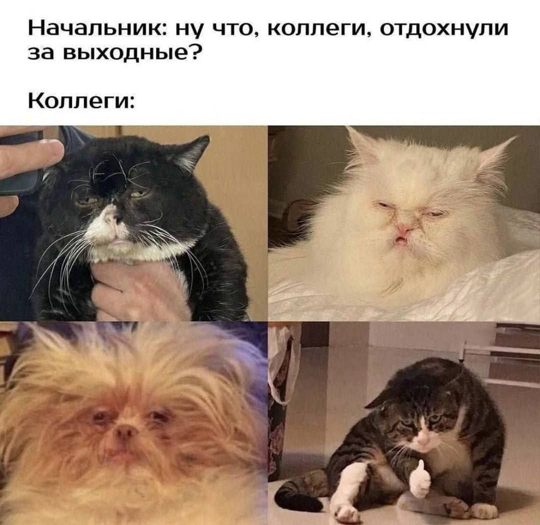 Состояние в первый рабочий день лета примерно такое... | Сетка — социальная сеть от hh.ru