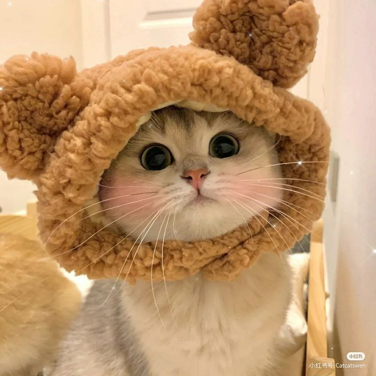 ✨ Эй, digital-гуру! Команда OOM Agency by Okkam (https://www.oom-agency.ru/) ищет именно тебя! Мы создаем крутые проекты, работаем с топовыми брендами и готовы к новым вершинам | Сетка — социальная сеть от hh.ru