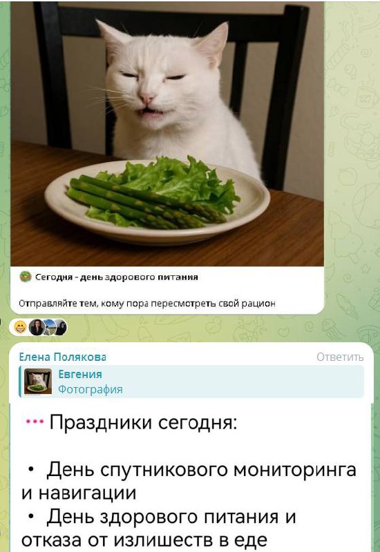 Девочки сказали, что сегодня день здорового питания!
Ну это ли не ЗНАК! 😂😂😂 | Сетка — социальная сеть от hh.ru