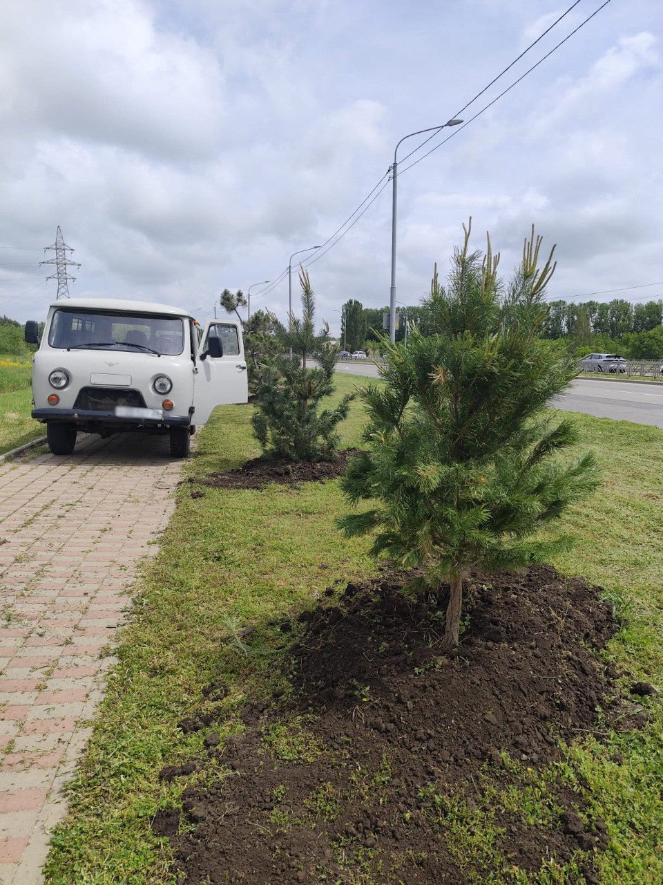 🌳В Ставрополе высадили новые деревья
На проспекте Кулакова по обеим сторонам от улицы Ленина и в районе пересечения с улицей Коломийцева появились 63 остролистных клена и 10 елей | Сетка — социальная сеть от hh.ru
