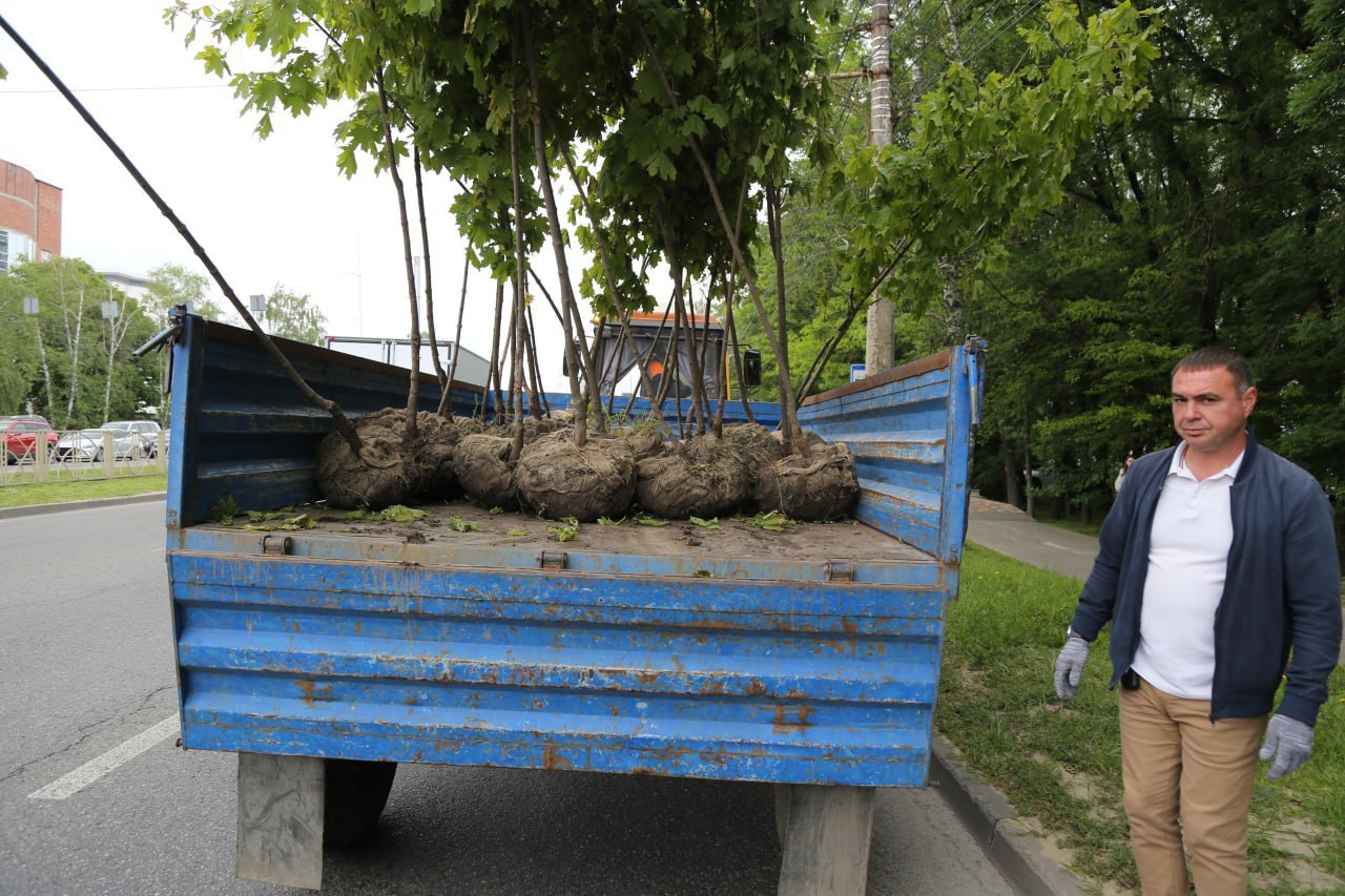 🌳В Ставрополе высадили новые деревья
На проспекте Кулакова по обеим сторонам от улицы Ленина и в районе пересечения с улицей Коломийцева появились 63 остролистных клена и 10 елей | Сетка — социальная сеть от hh.ru