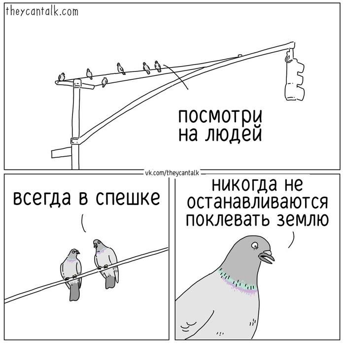Я считаю это главная проблема нашего рода. | Сетка — социальная сеть от hh.ru