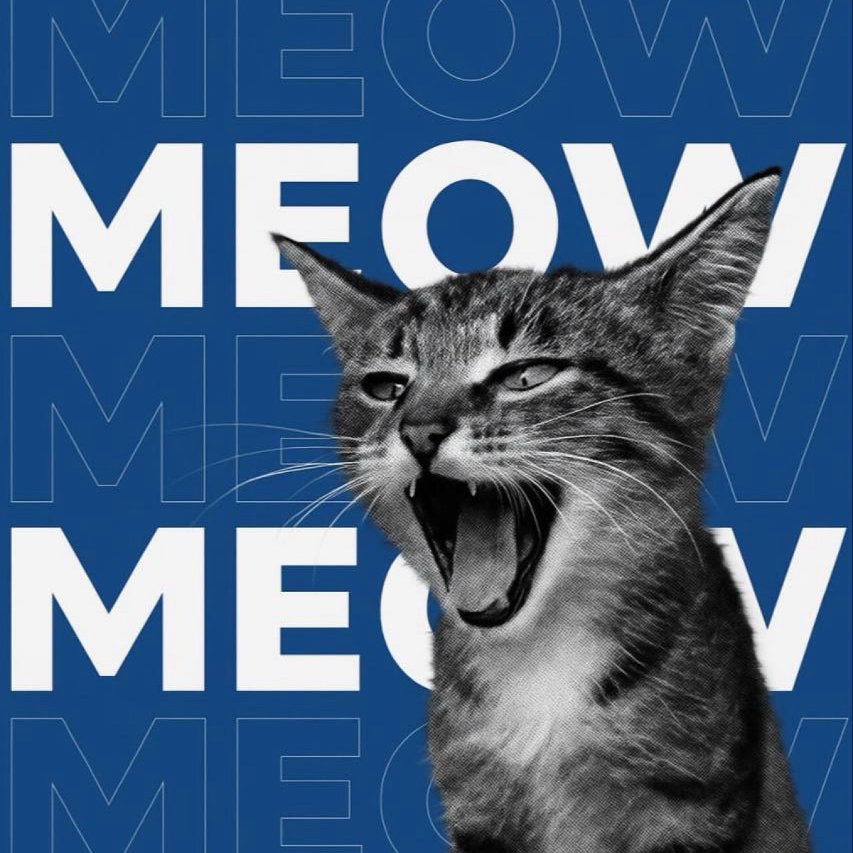 Софья Комолова | Сетка — социальная сеть от hh.ru