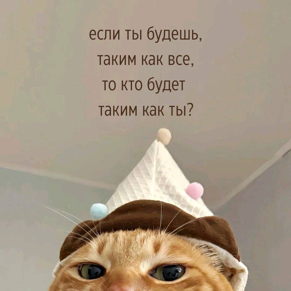 Я не ищу идеальных кандидатов. Я ищу нормальных людей» | Сетка — социальная сеть от hh.ru