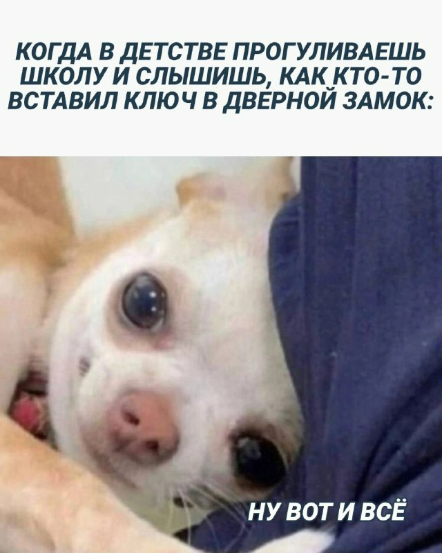 🚶‍♂️3 июня — День прогульщика. | Сетка — социальная сеть от hh.ru