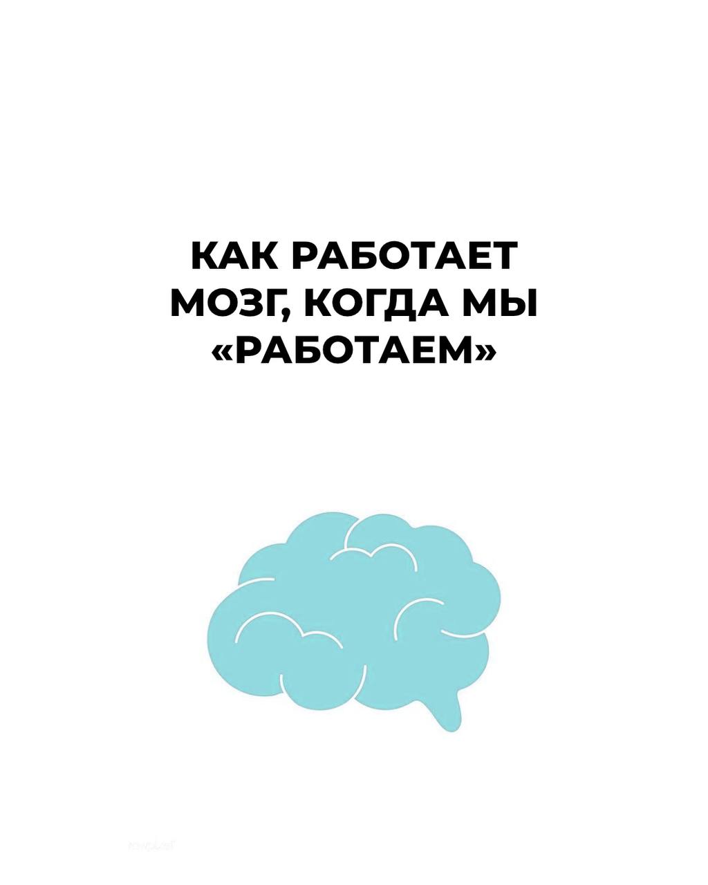 🧠 Как работает мозг, когда мы «работаем»
Мы часто говорим: «нужно просто сесть и сделать».
Но правда в том, что мозг — не машина. Он тоже устаёт, отвлекается, теряет фокус. И это нормально | Сетка — социальная сеть от hh.ru