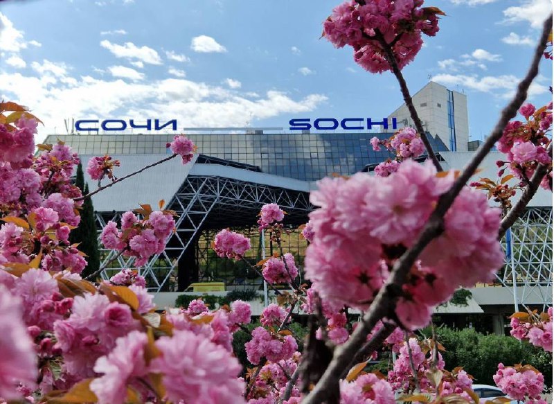 МТС построит сеть 5G-Ready для аэропорта Сочи
Впервые в России на территории Международного аэропорта Сочи развернется выделенная сеть широкополосного беспроводного радиодоступа на базе технологии LTE... | Сетка — социальная сеть от hh.ru