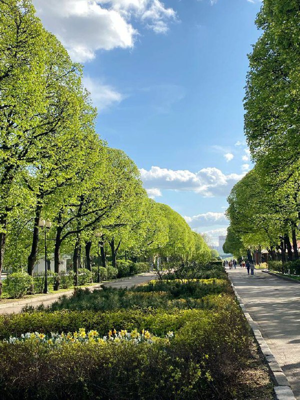 🚴🏼Места, где можно покататься на велосипеде в Москве
📍Измайловский парк📍Крылатские холмы📍Набережные Москвы-реки📍Лианозовский парк📍Битцевский парк📲Подпишитесь на Вдвижении
#активныйотдых | Сетка — социальная сеть от hh.ru