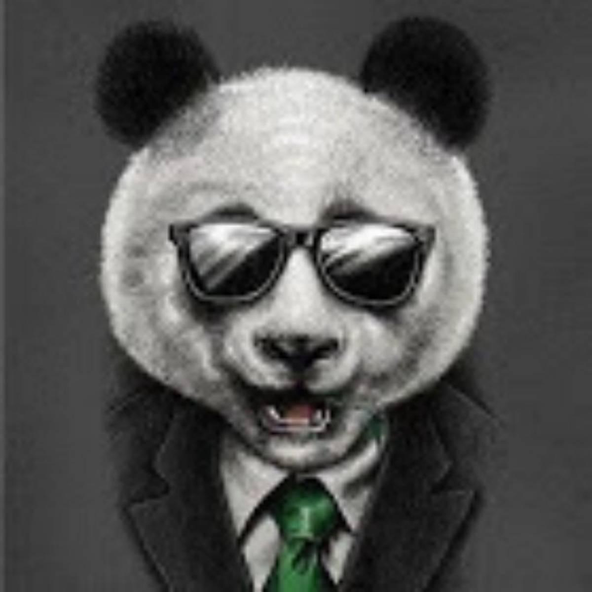 Владимир Каминский | Сетка — социальная сеть от hh.ru