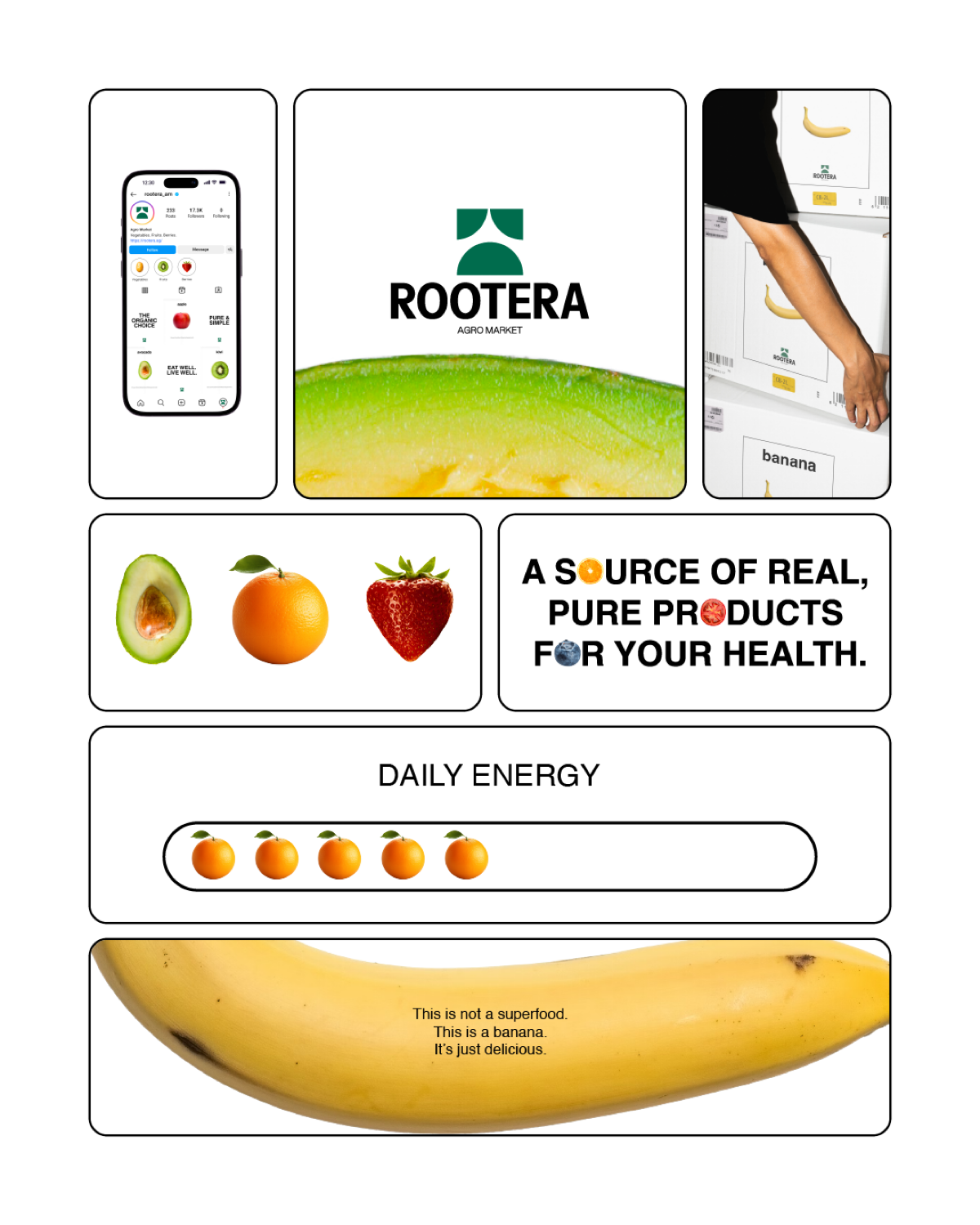 Фирменный стиль + нейминг для агро маркета ROOTERA | Сетка — социальная сеть от hh.ru