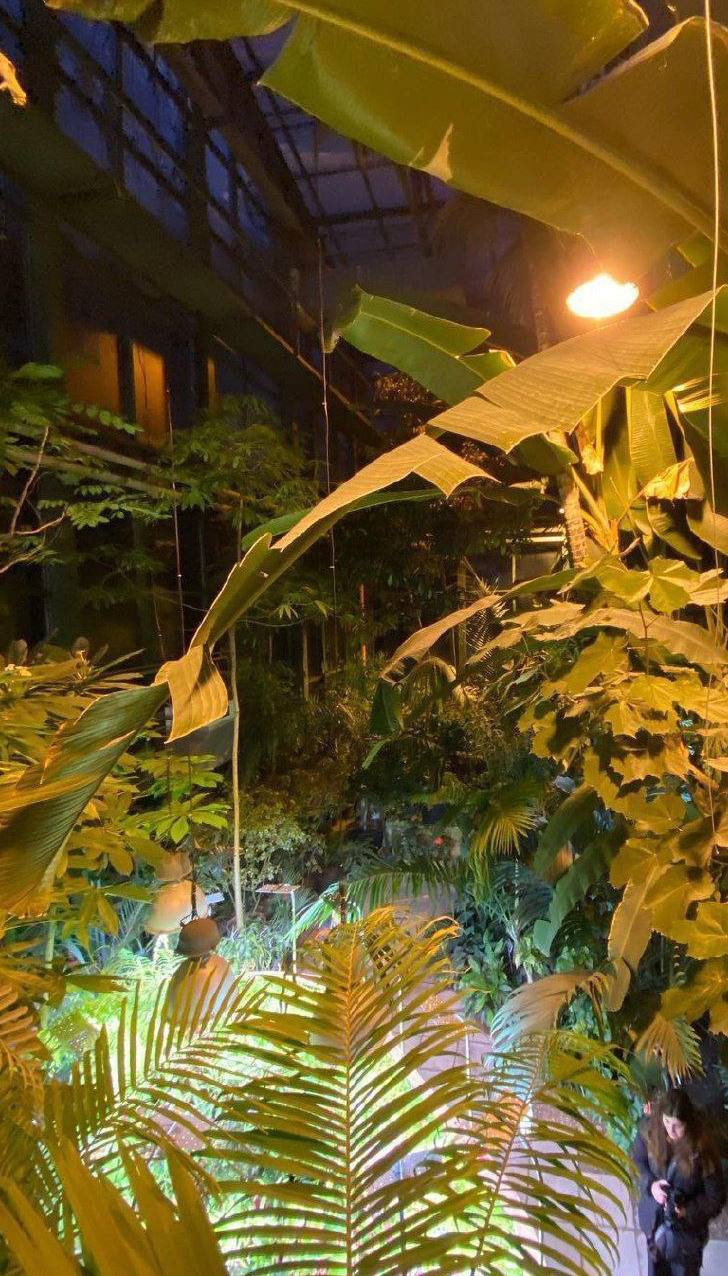 🗣️Вечерняя экскурсия в Аптекарском огороде
С 5 июня
Каждый четверг в 19:00
Вечером в ботаническом саду особая атмосфера - без суеты и толпы. А дополнит ее рассказ экскурсовода о необычных растениях | Сетка — социальная сеть от hh.ru