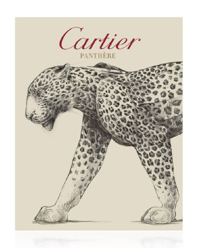 «Cartier — это для меня»
Началось отпускное автопутешествие. В дорогу взяла с собой книгу «Картье. Неизвестная история семьи, создавшей империю роскоши» | Сетка — социальная сеть от hh.ru