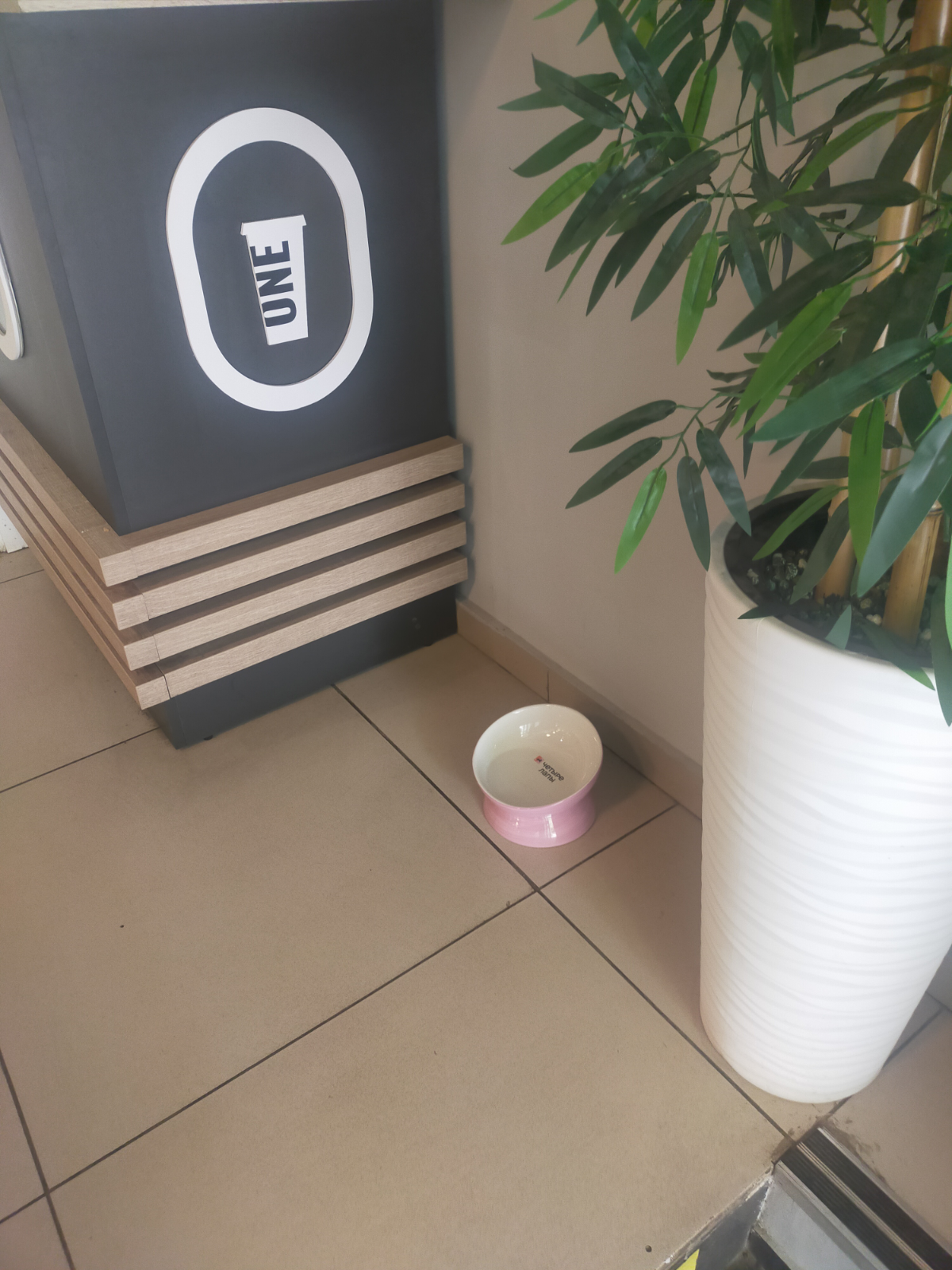 Мило, что One Price Coffee заботиться о собаках в такую жару. Мисочка с водой при входе в кафе на Полежаевской. #onepricecoffee спасибо 🧡 

#ванпрайскофе #заботаоживотных #жара | Сетка — социальная сеть от hh.ru